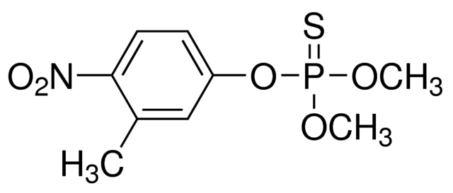 乙腈中殺螟硫磷溶液，100μg/mL